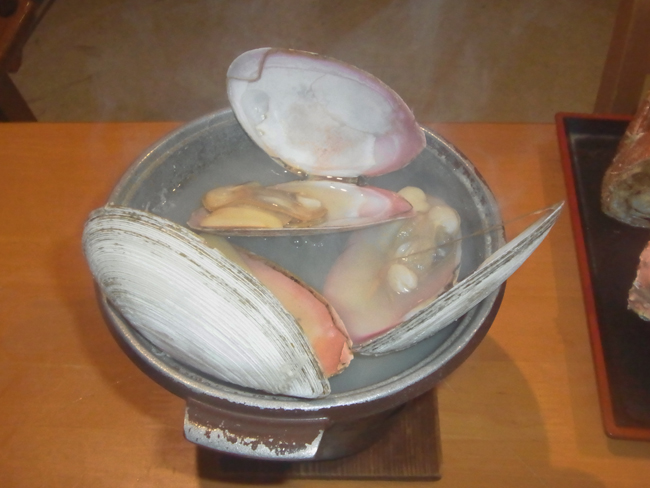 白貝