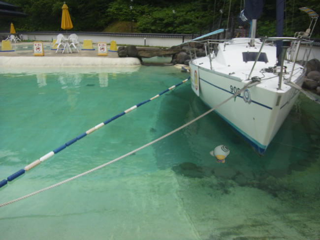 温泉プール