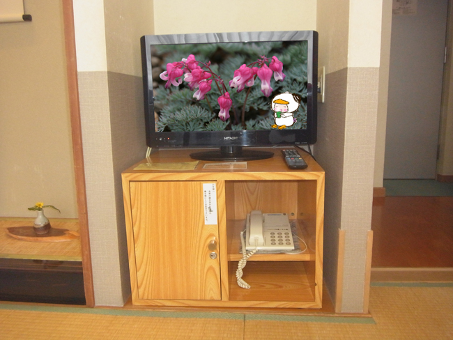 テレビ