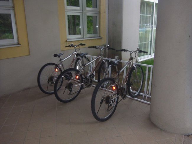 サイクリング