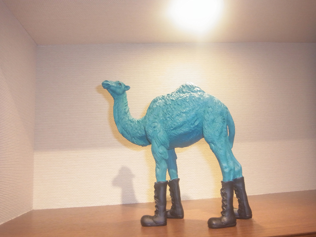 ラクダ