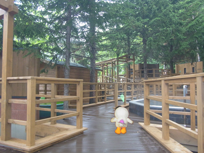 ＷＯＯＤ　ＳＰＡ