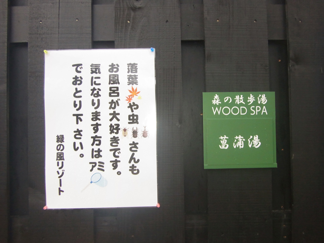 虫