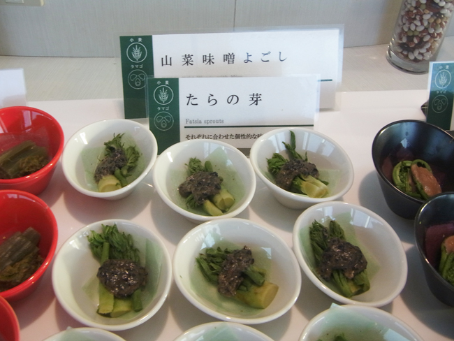 たらの芽