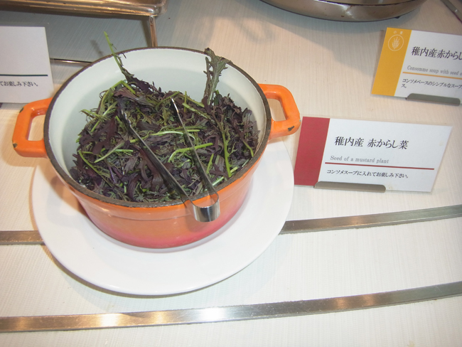赤からし菜