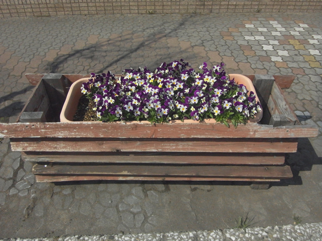 花