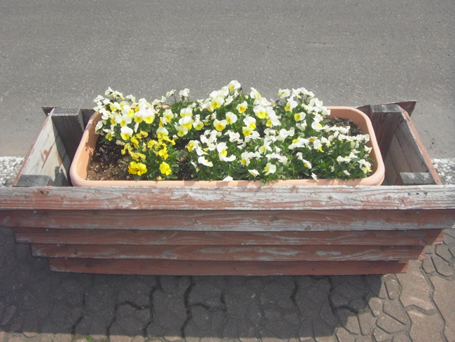 花壇