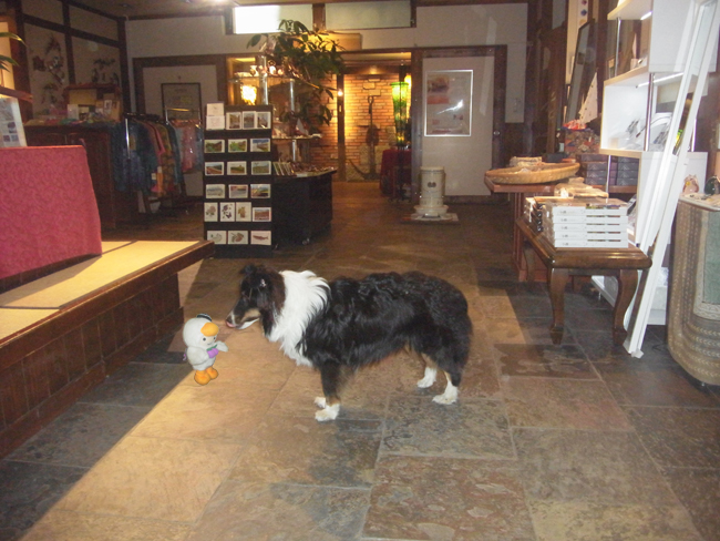 小樽ふる川　犬