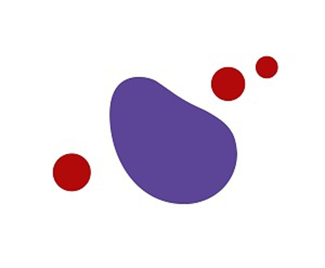 野口観光