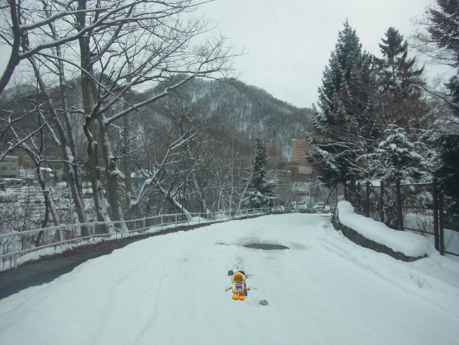 敷島定山渓別邸温泉
