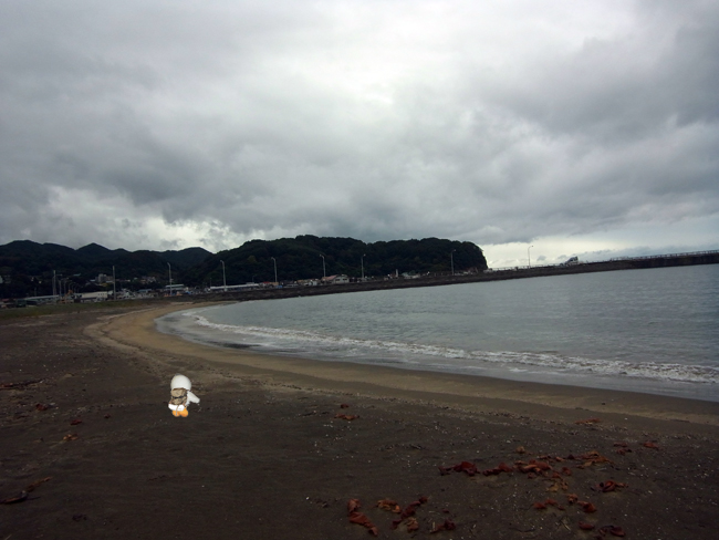 海