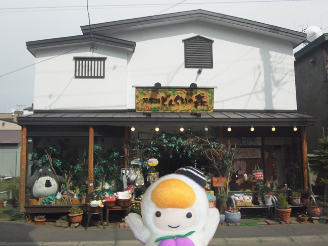 阿寒湖どんぐりの森
