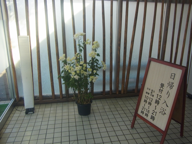 虎杖浜いずみ