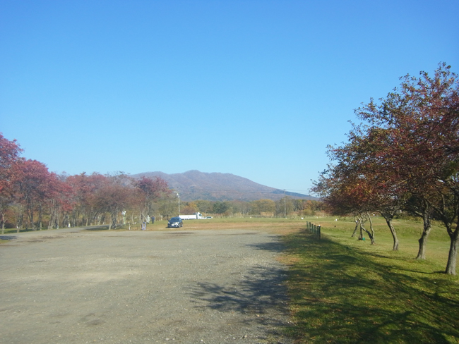 山
