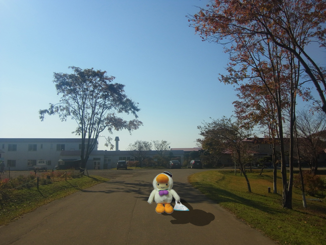 北海道温泉