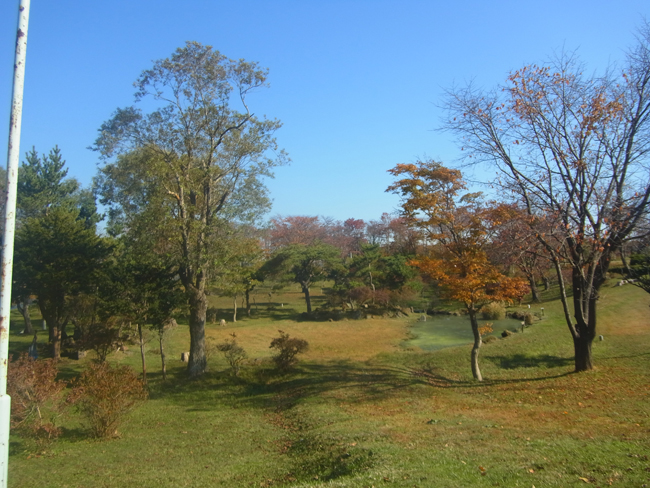 庭園