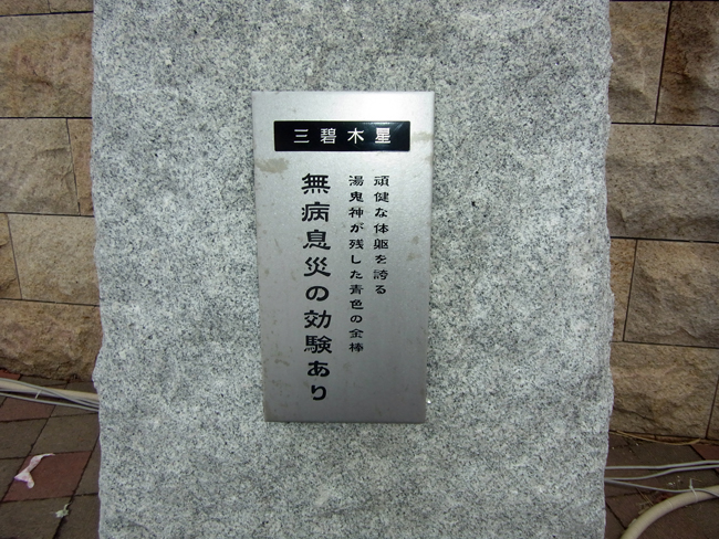 三碧木星