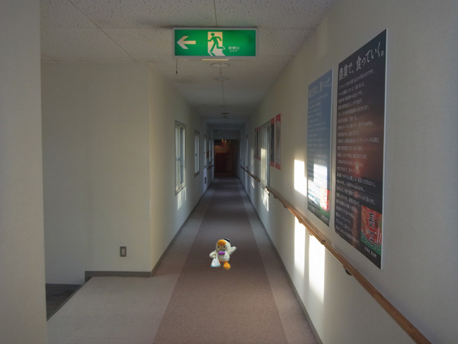 連絡路
