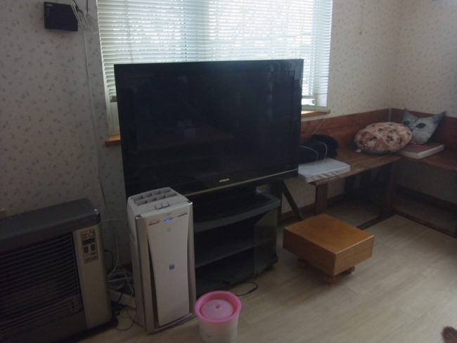 テレビ