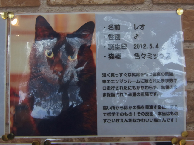 レオ