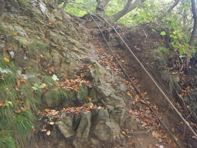 山道