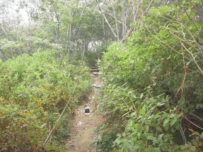 山道