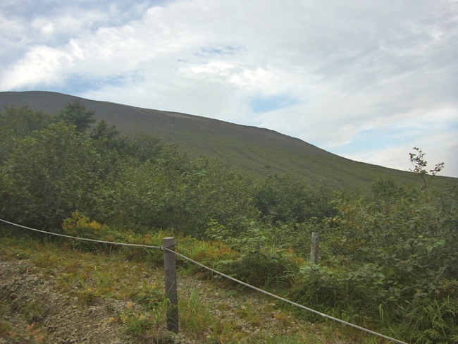登山道２