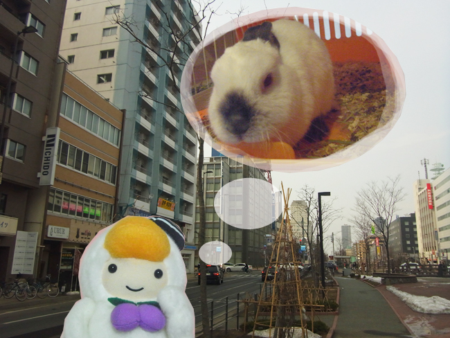 うさぎカフェ札幌