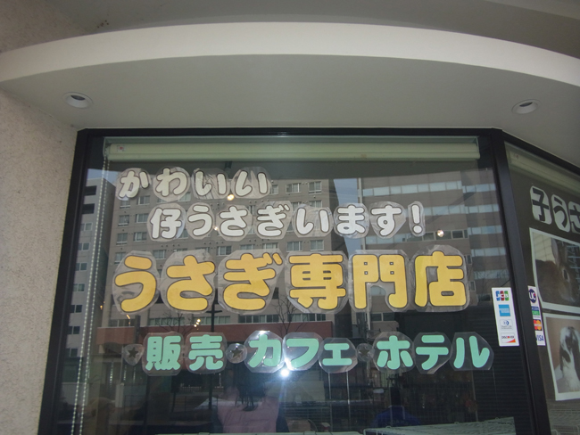 うさぎ専門店