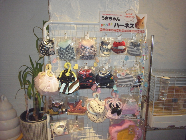 うさぎの商品