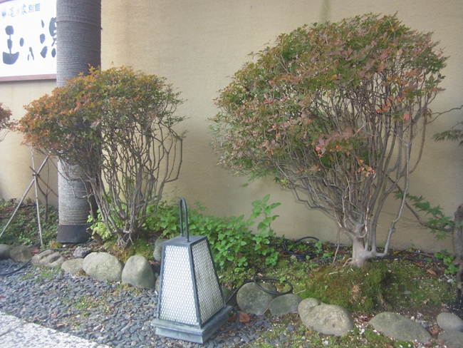 庭園